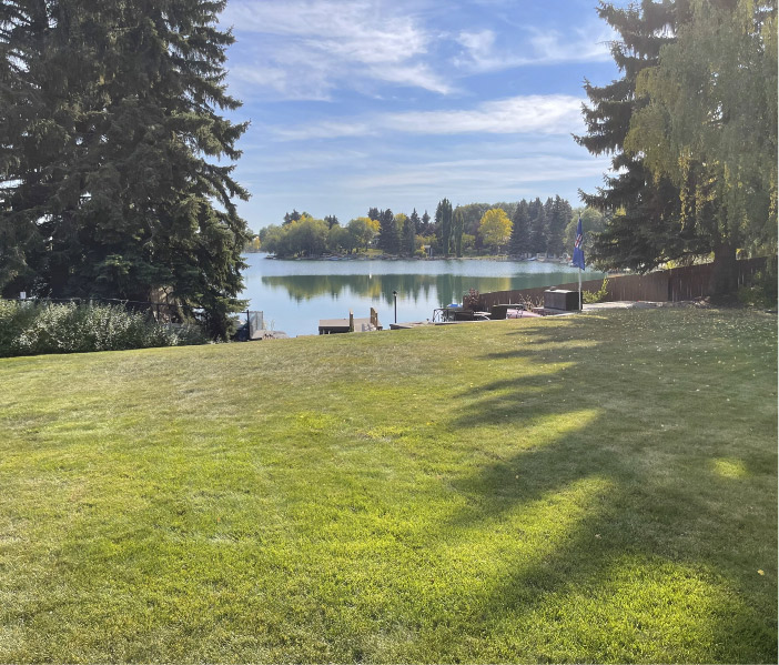 Backyard before
