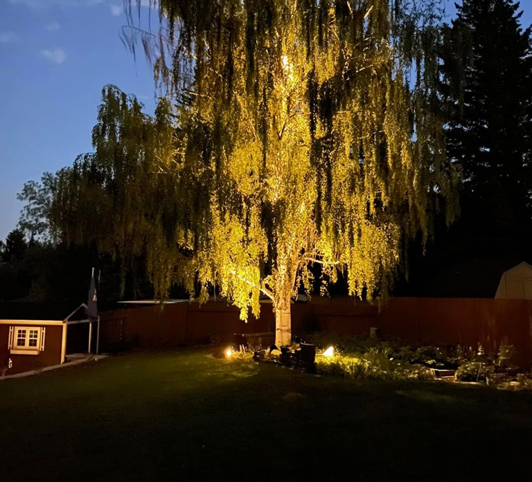 Outdoor lighting