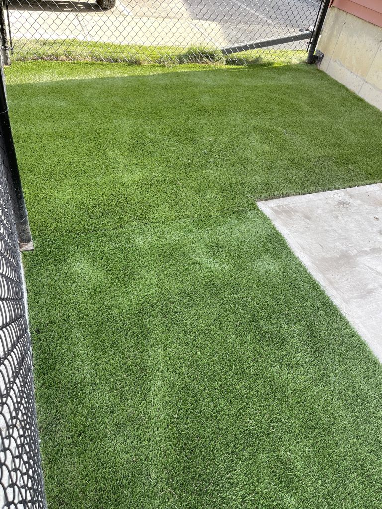 Turf 2 768x1024